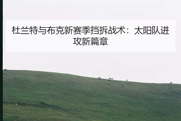 杜兰特与布克新赛季挡拆战术：太阳队进攻新篇章