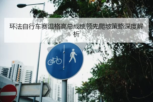 环法自行车赛温格高总成绩领先爬坡策略深度解析