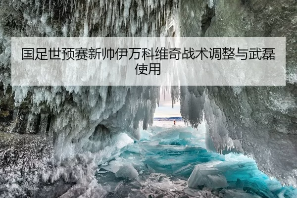 国足世预赛新帅伊万科维奇战术调整与武磊使用