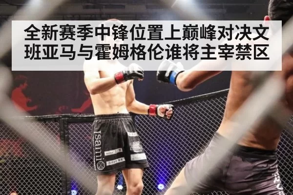 全新赛季中锋位置上巅峰对决文班亚马与霍姆格伦谁将主宰禁区